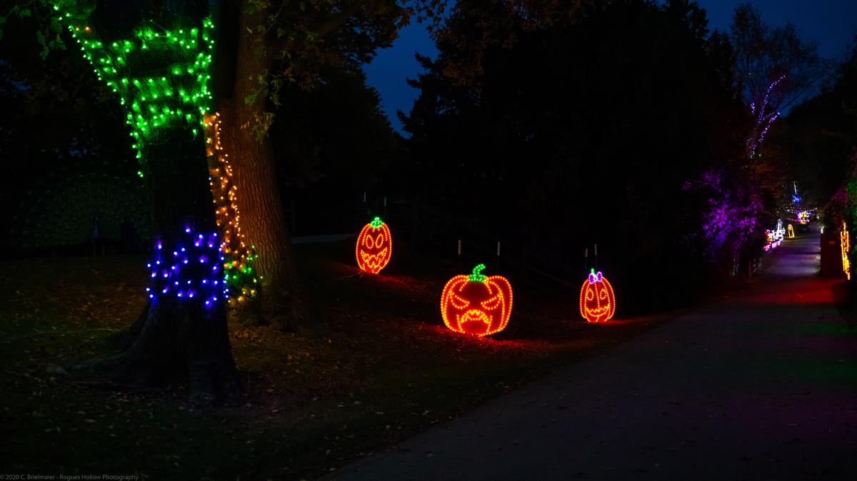 Halloween Family Light Show at Demarest Farms in Hillsdale New Jersey